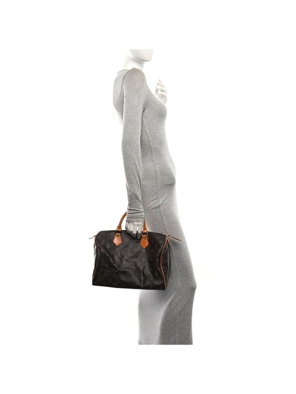 Louis Vuitton Speedy 30 #366985L99B